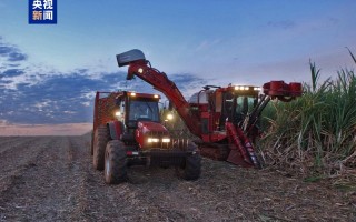 中东冲突推高能源成本 全球食品价格3月上涨