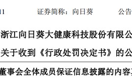 发股收购存误导性陈述，向日葵及董事长、董秘被罚510万