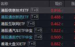 突传重磅，港股崛起！芯片、医药领衔，华宝基金港股信息技术ETF（159131）放量涨超3%！互联网龙头异动猛攻