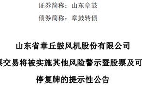 虚减利润被罚！002598，将被ST！