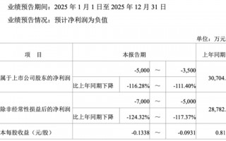 上市五载首陷亏损，重要股东减持，宇新股份产业转型遇阻