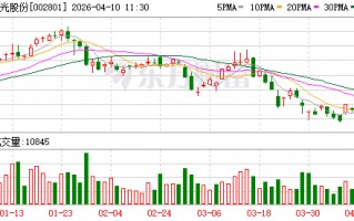 微光股份：公司已预约于2026年4月29日披露2026年第一季度报告