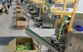 零食中加泻药，两公司被查，多人获刑！