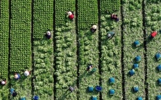 四川去年人口减少超40万，专家解读→