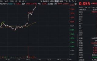 港股市场突传大消息！全市场唯一港股信息技术ETF（159131）午后直线上涨超3%