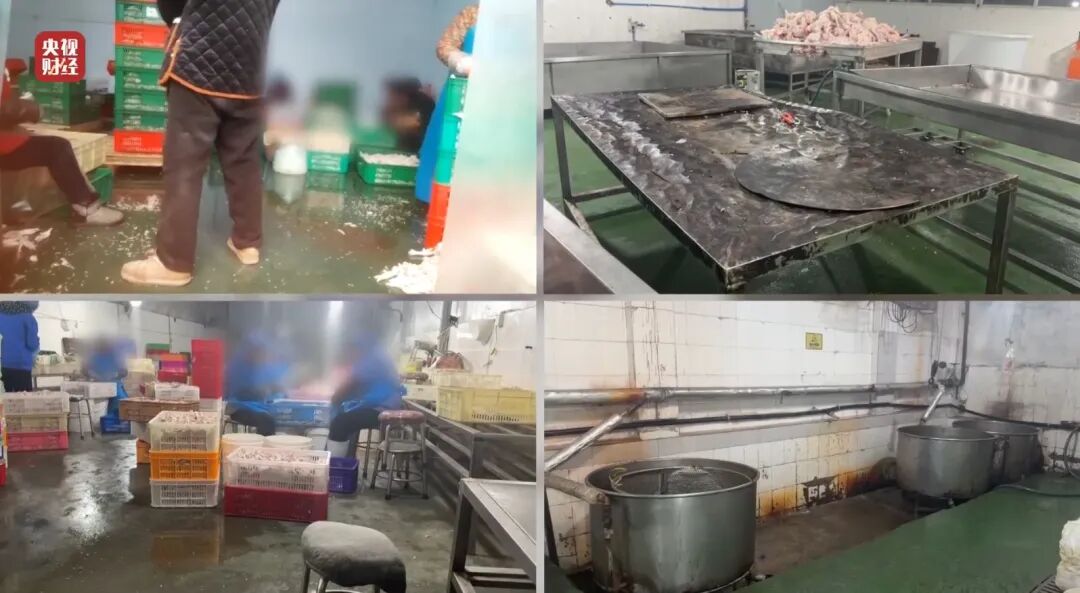 荐股亏损玩消失、万能神药是三无产品、给AI大模型投毒.....“3·15”晚会曝光了这些-第10张图片-51吃大瓜