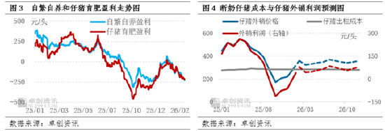 政策与市场共同驱动，母猪产能或在二三季度加速去化-第4张图片-51吃大瓜