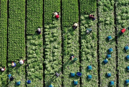 四川去年人口减少超40万，专家解读→-第1张图片-51吃大瓜