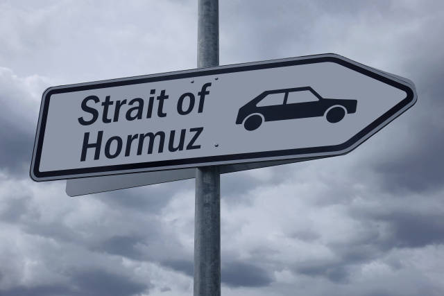 美国盟友为何缺席霍尔木兹“护航联盟”？-第1张图片-51吃大瓜