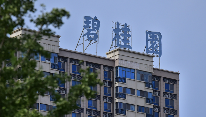 暴雷重组后的碧桂园宣布盈利，杨惠妍的“二次创业”计划迎关键拐点-第2张图片-51吃大瓜