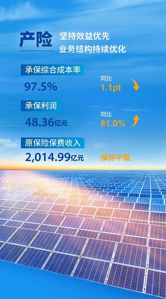 中国太保2025年度成绩单-第4张图片-51吃大瓜