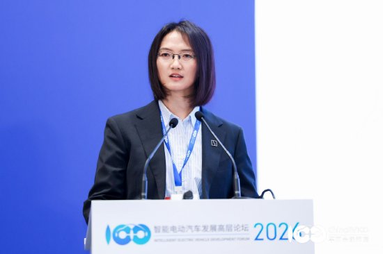 徐云谈极氪9X海外受追捧：客户主动加价提车，包括劳斯莱斯、宾利用户-第1张图片-51吃大瓜